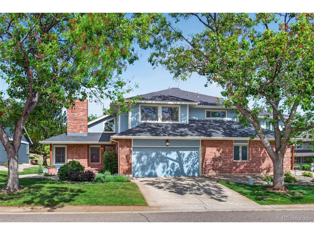3 Red Cedar — photo