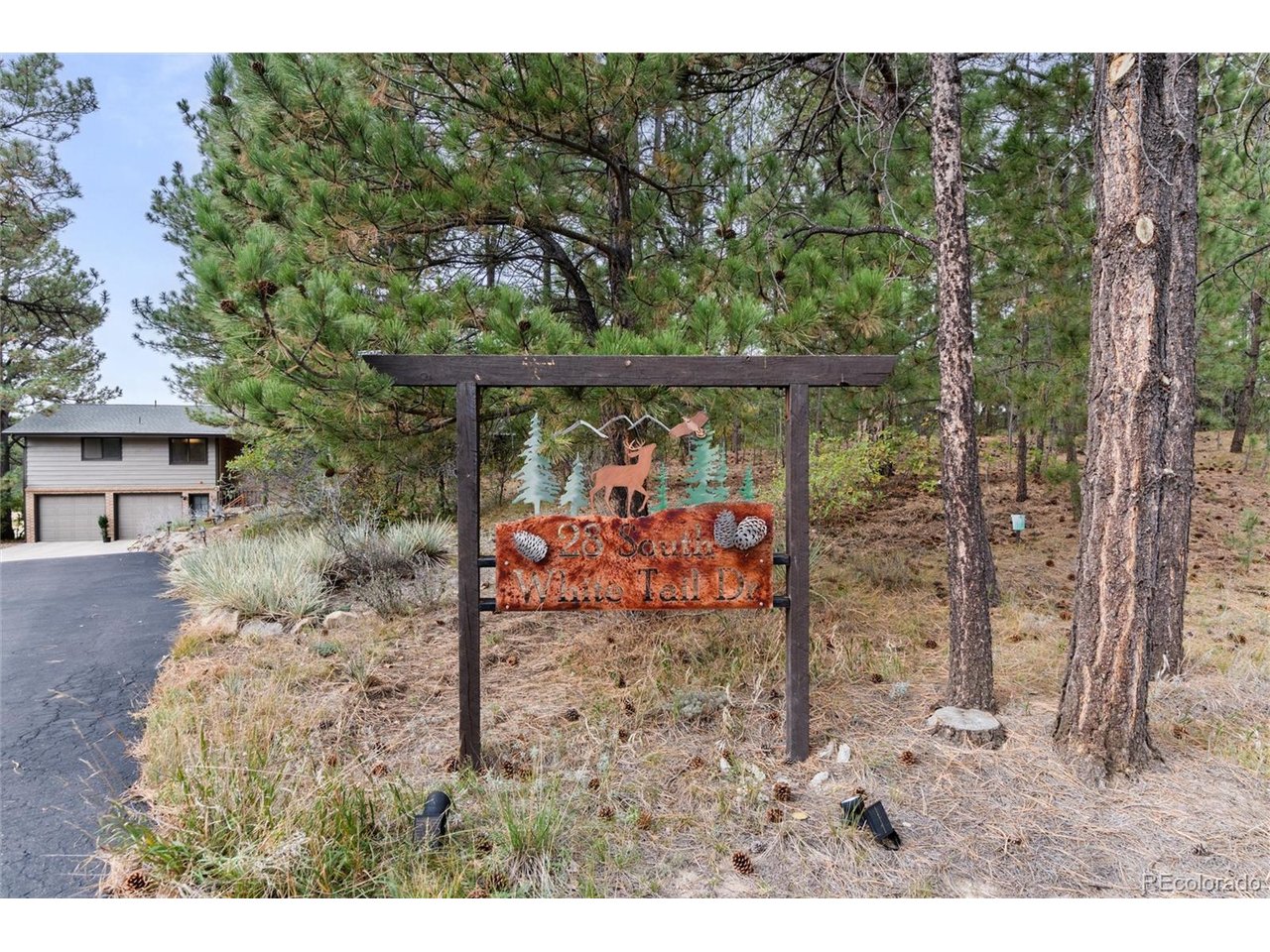 28 S White Tail Dr — photo