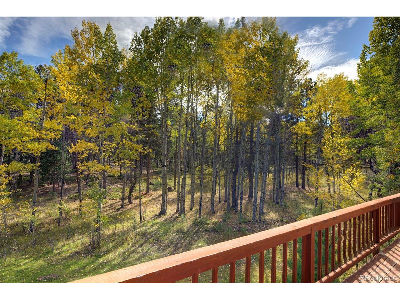 11800 S Ridge Rd, Conifer, CO 80433 — photo 3