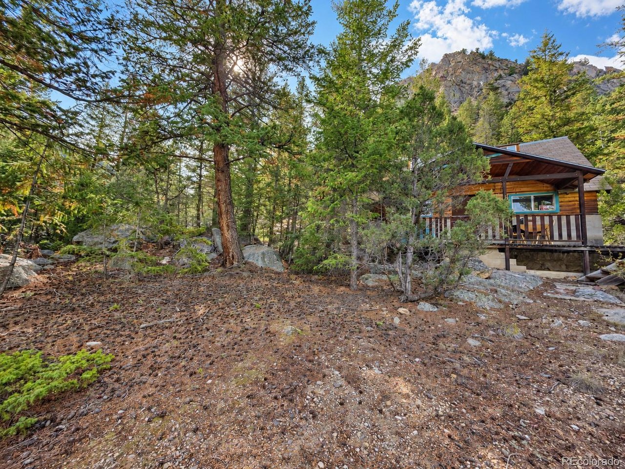 15 Junction Loop Rd, Empire, CO 80438 — photo 3