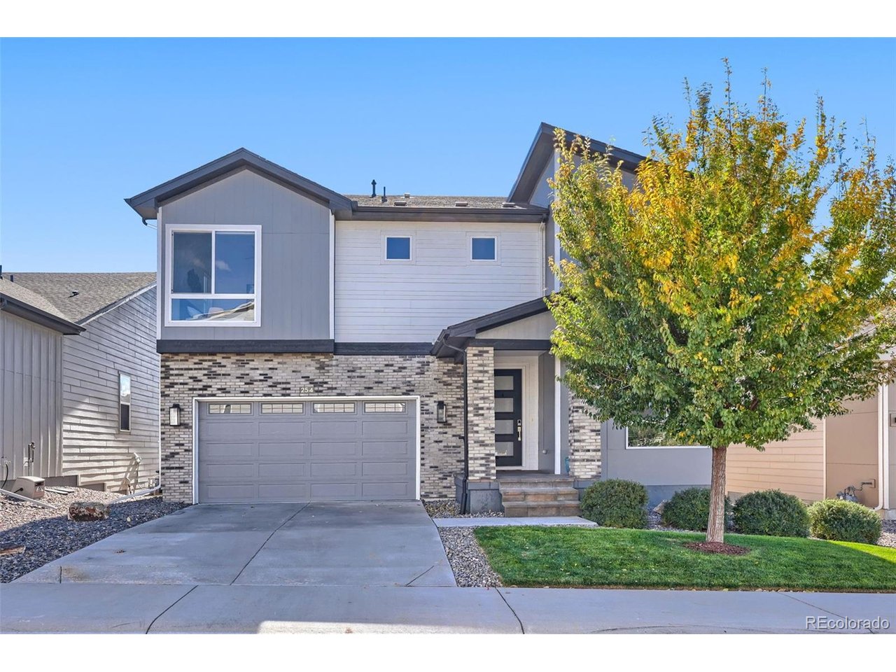 254 Simmental Loop, Castle Rock, CO 80104 — photo 2