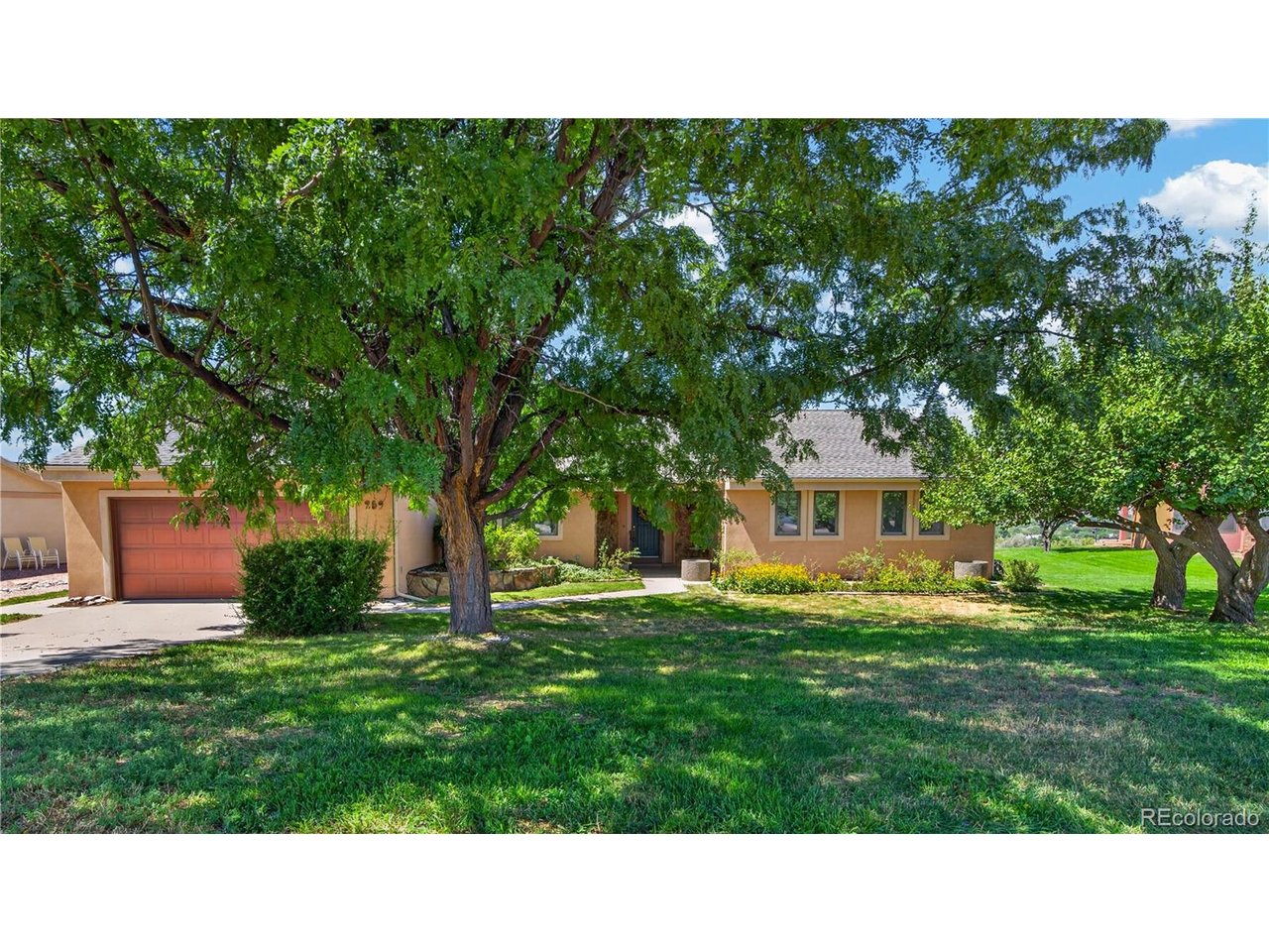 259 Willow Creek Trl — photo