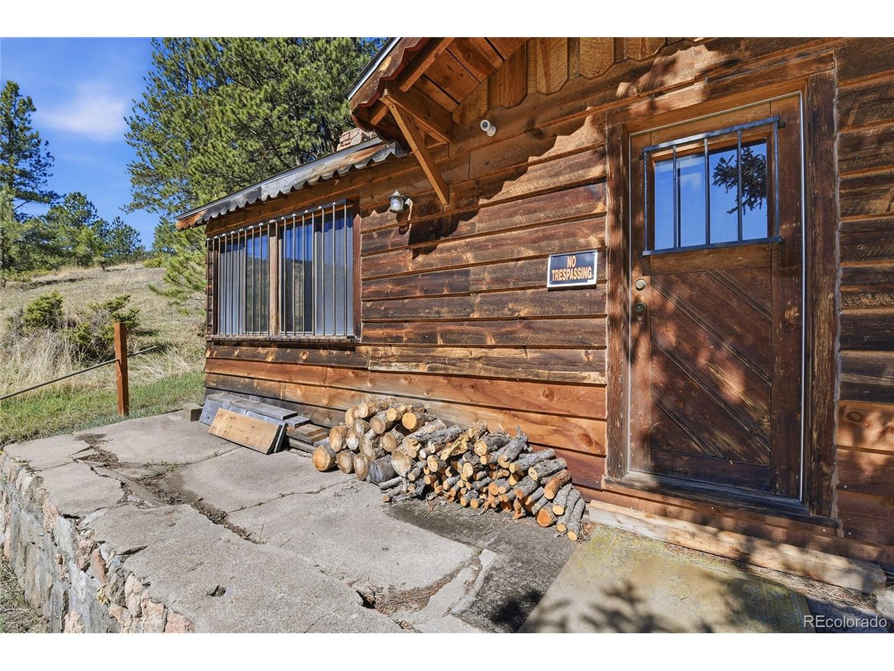 33601 Stransky Rd, Evergreen, CO 80439 — photo 3