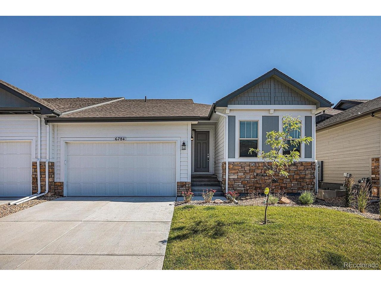 6784 Zebra Grass Ln — photo