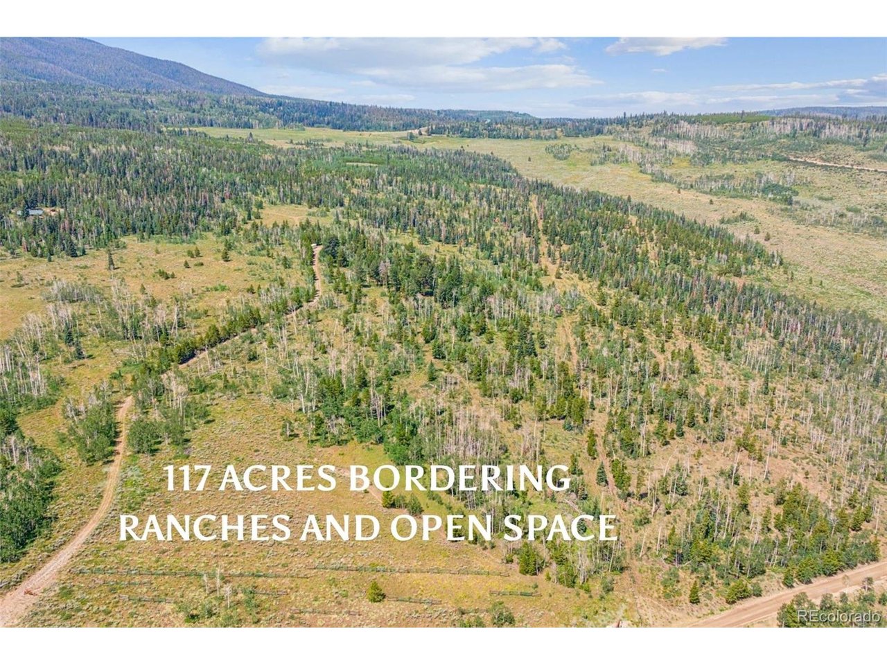 733 Spring Creek Ranch Rd, Silverthorne, CO 80498 — photo 3