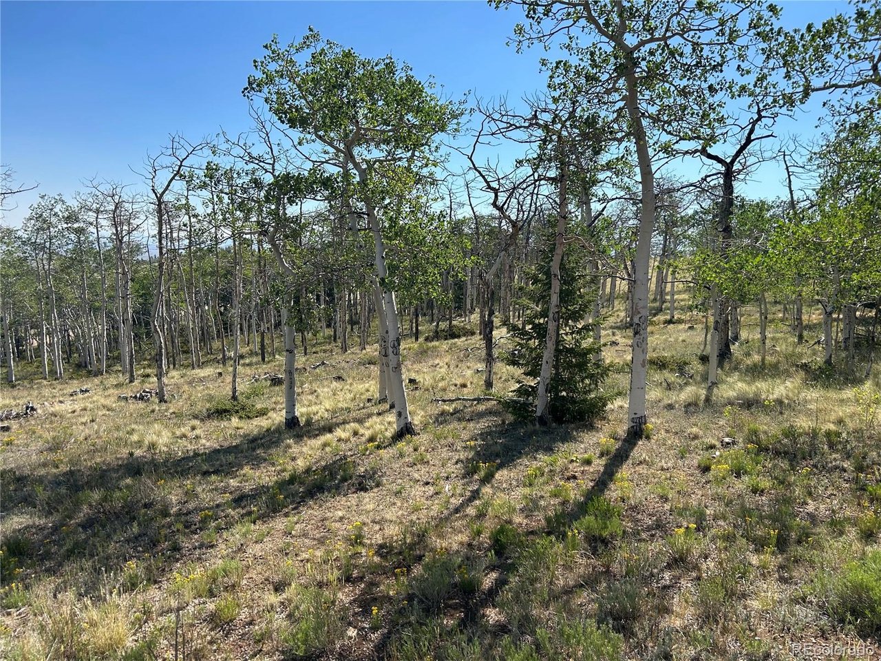 8608 Ranch Rd, Hartsel, CO 80449 — photo 3
