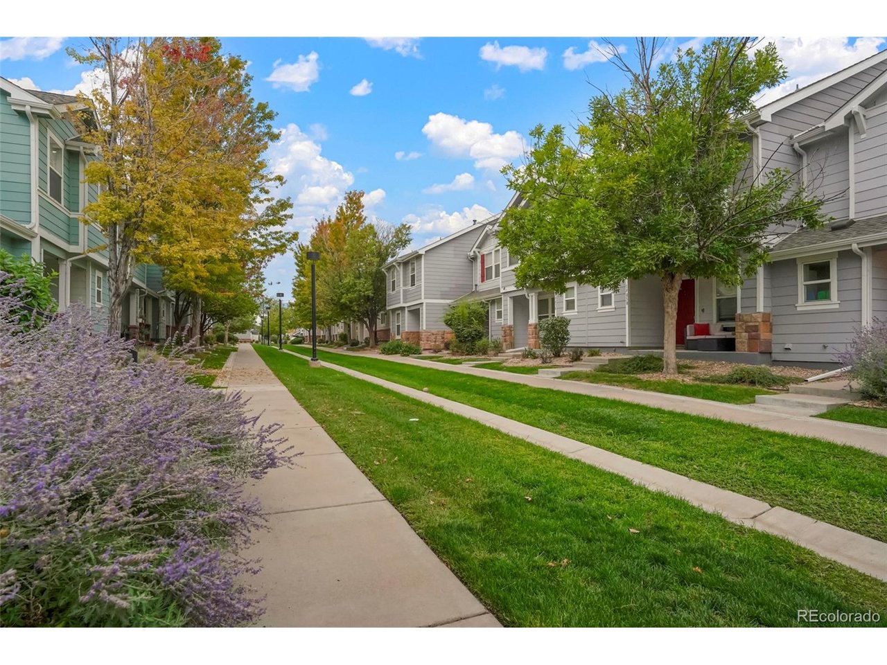 19035 E 57th Pl, Denver, CO 80249 — photo 3