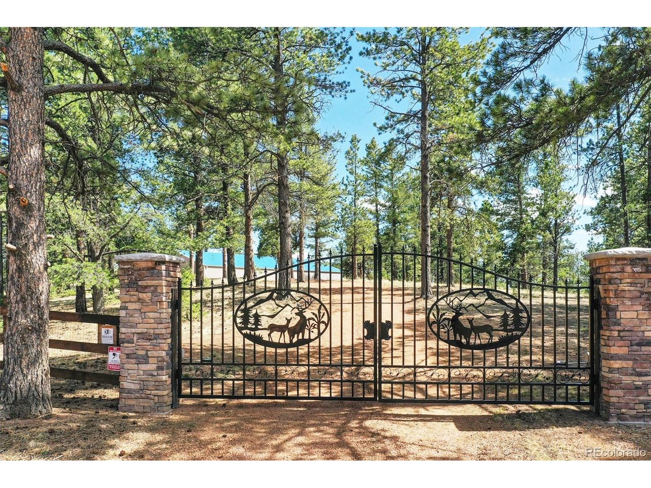 2754 County Rd 421, Florissant, CO 80816 — photo 2