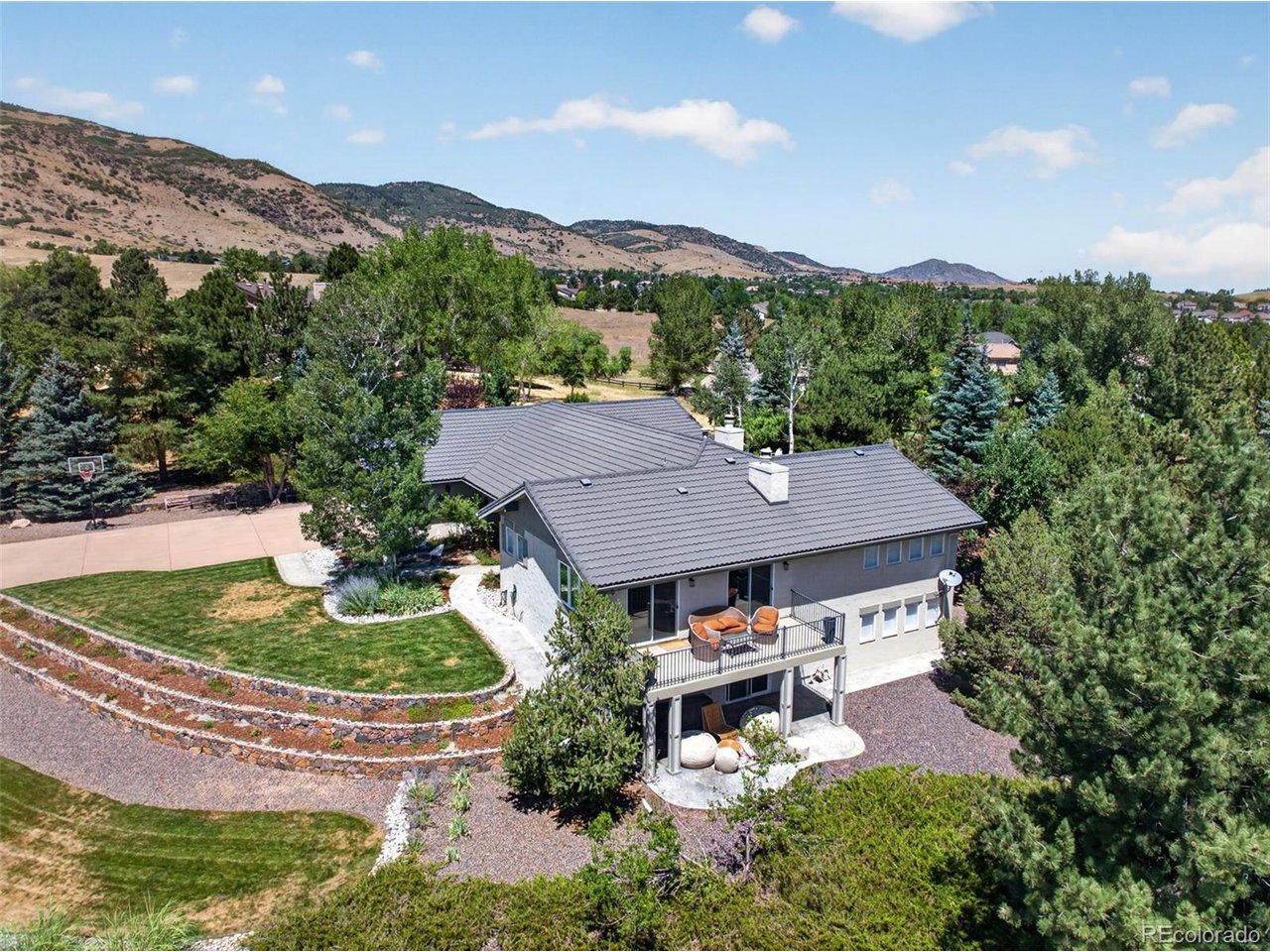 8 Silver Aspen — photo