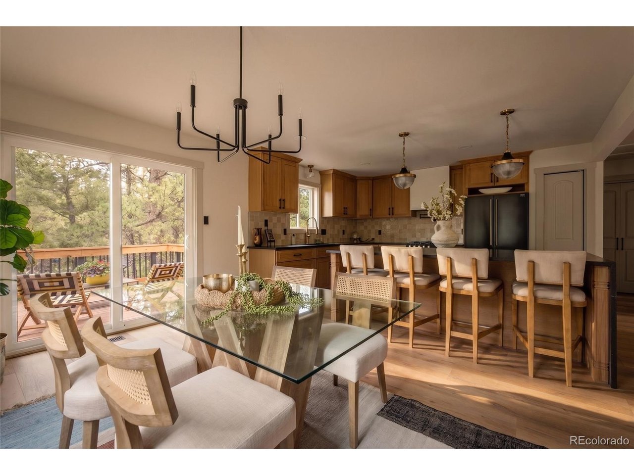 33691 Nova Rd, Pine, CO 80470 — photo 3