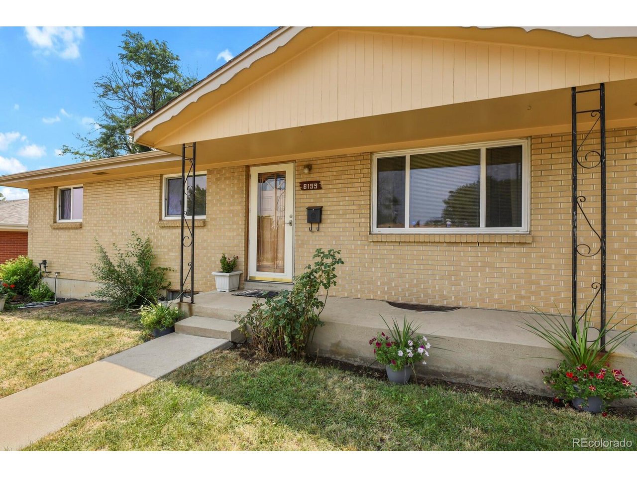 8159 Nola Dr — photo