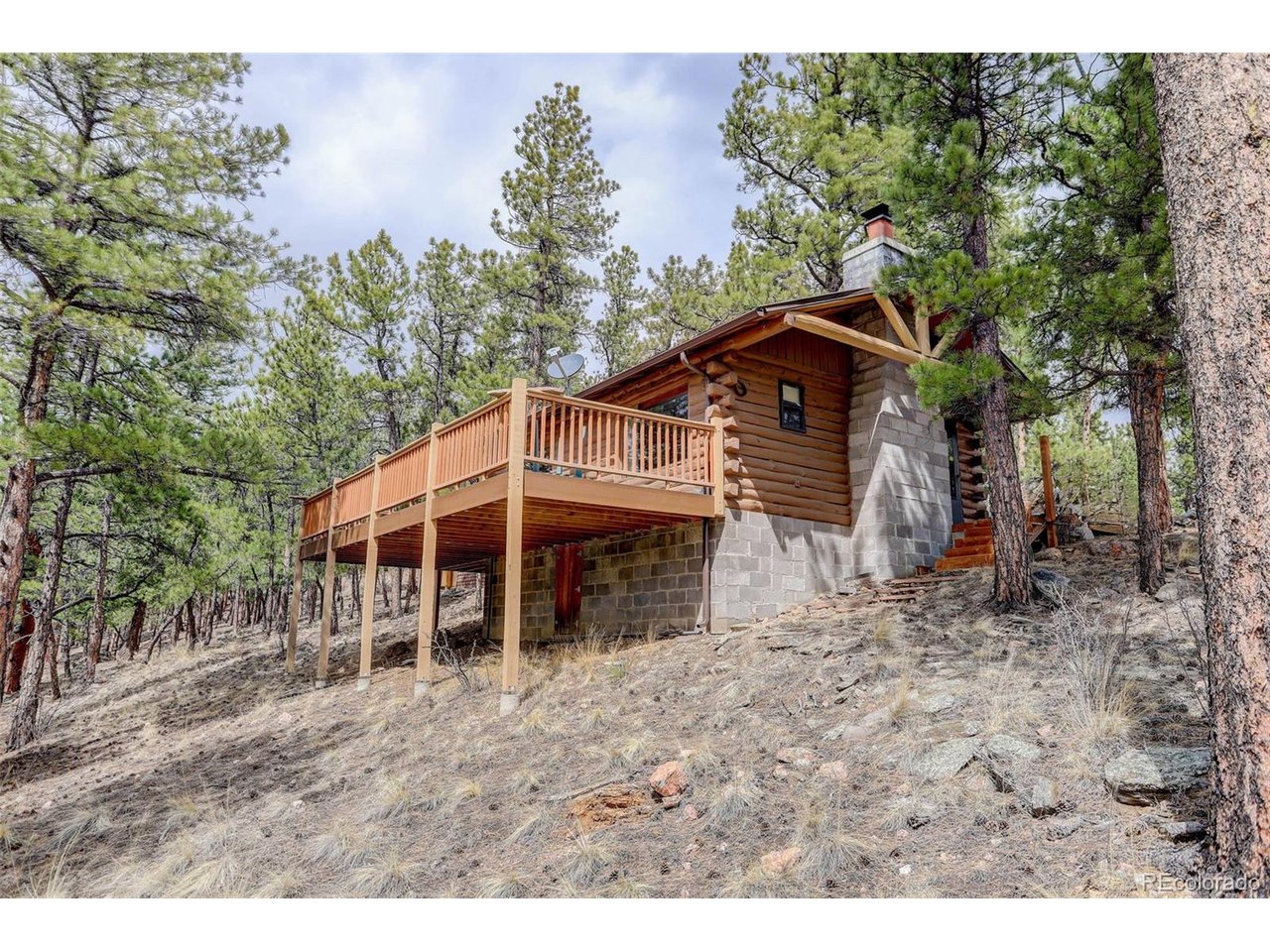 307 Virginia Rd, Bailey, CO 80421 — photo 3