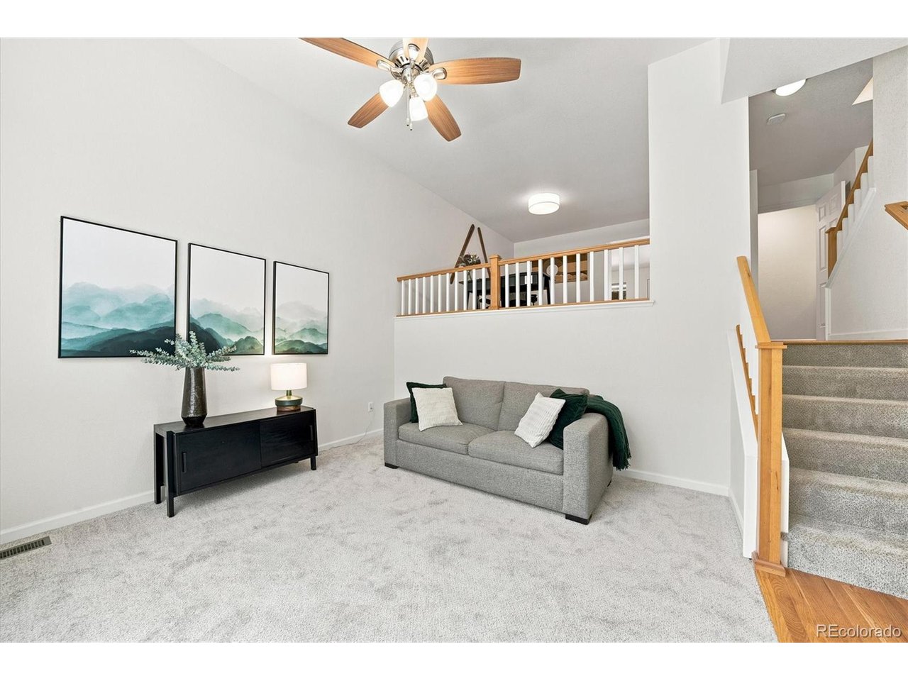 8705 E 29th Pl, Denver, CO 80238 — photo 3