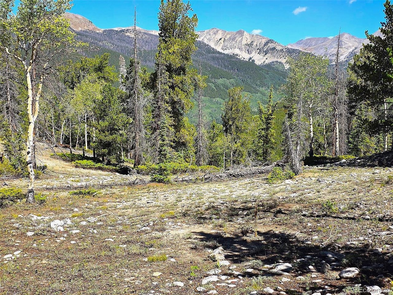 840 Forest Service Road 890 — photo