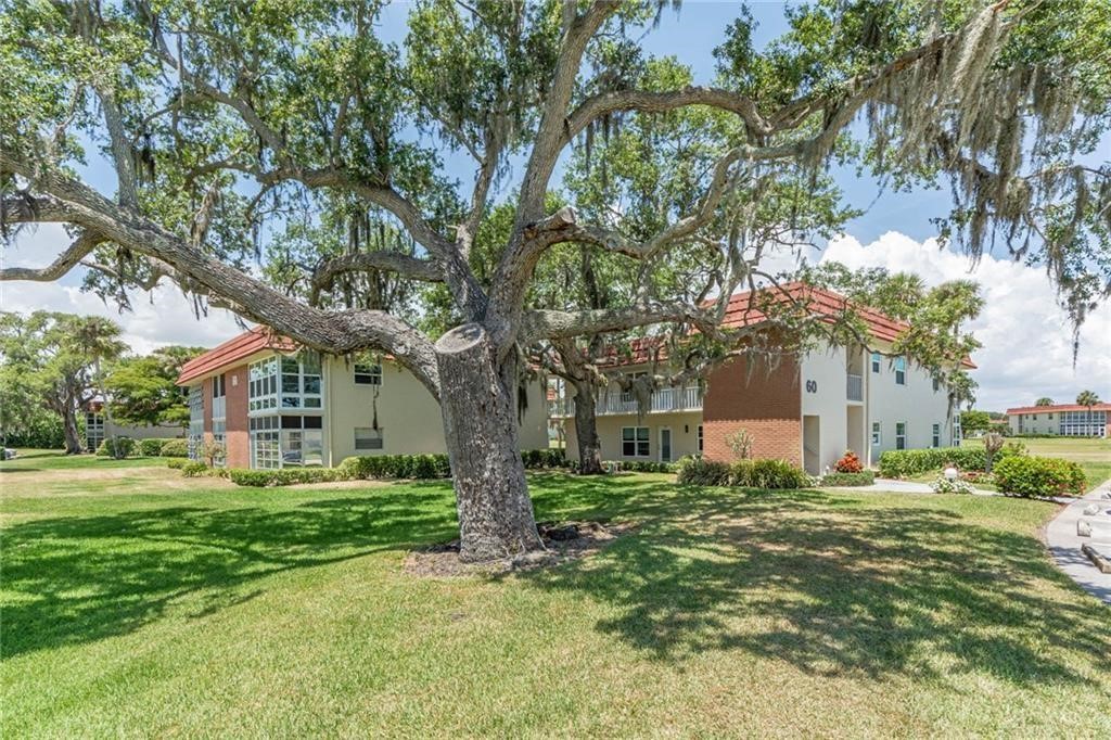 60 Woodland Drive 205 — photo