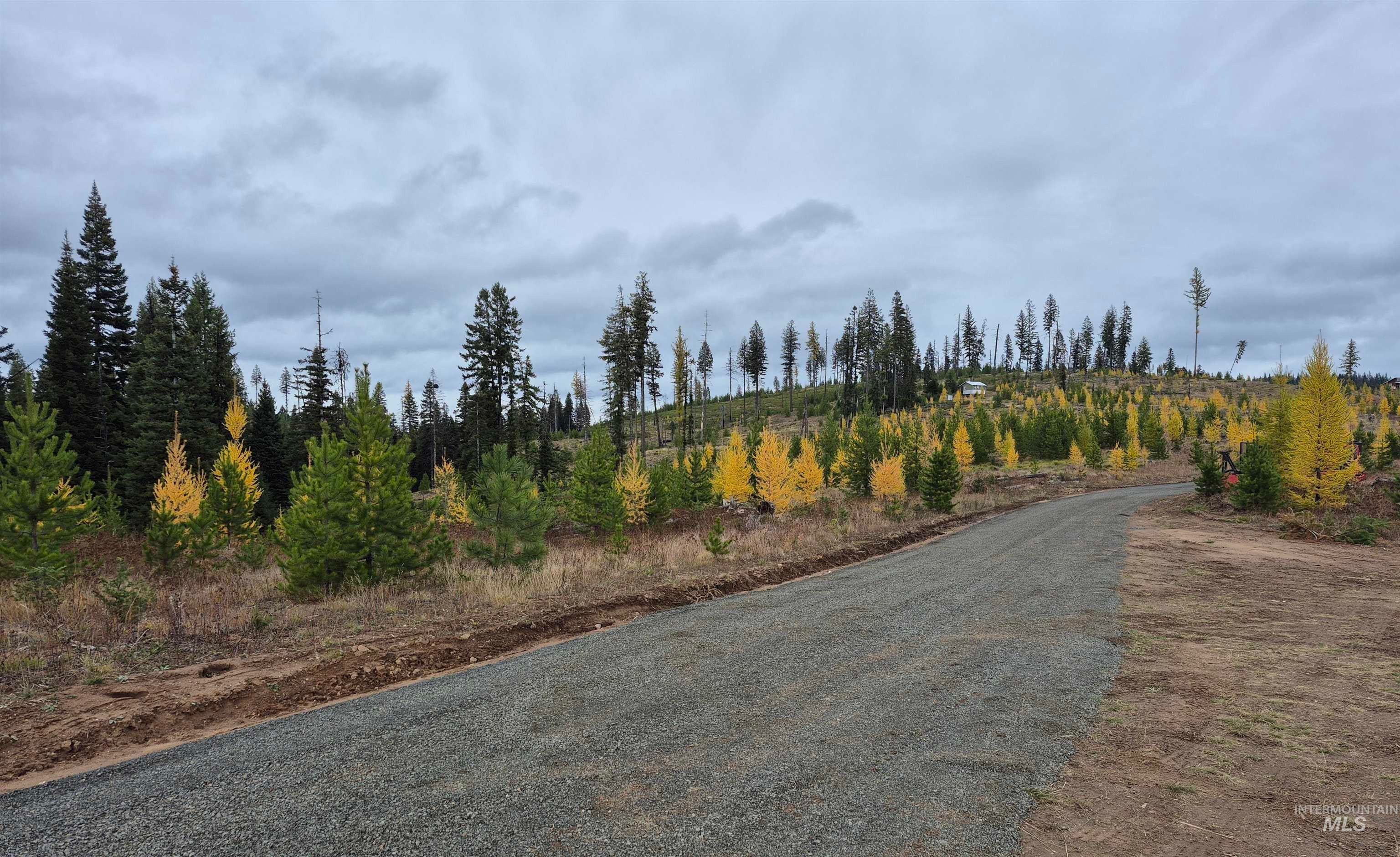 Tbd French Gulch Rd Parcel 2 & 3 — photo