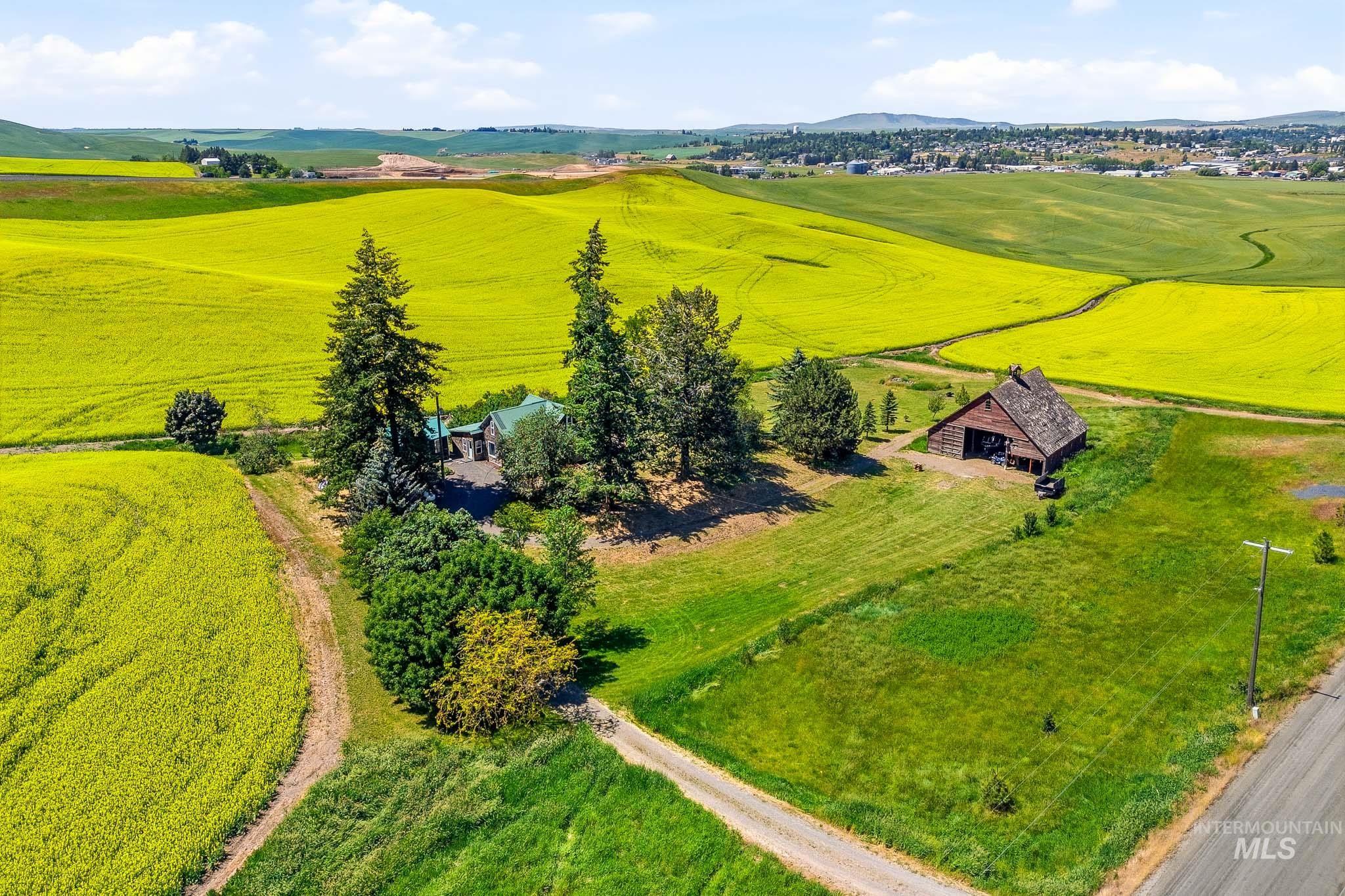1185 Paradise Ridge Road, Moscow, ID 83843