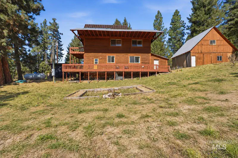 15 Dored Pines — photo