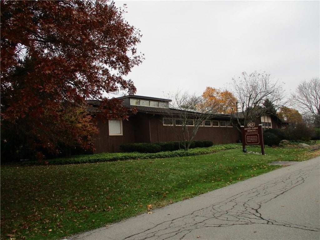 5 Evergreen — photo