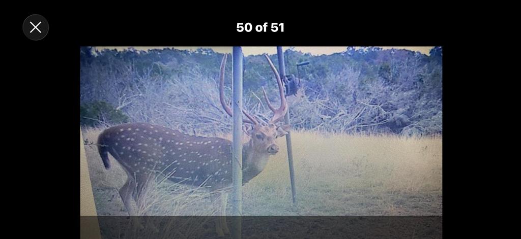 462 Schenk-Witkowski Rd, Rocksprings TX 78880 — photo 2