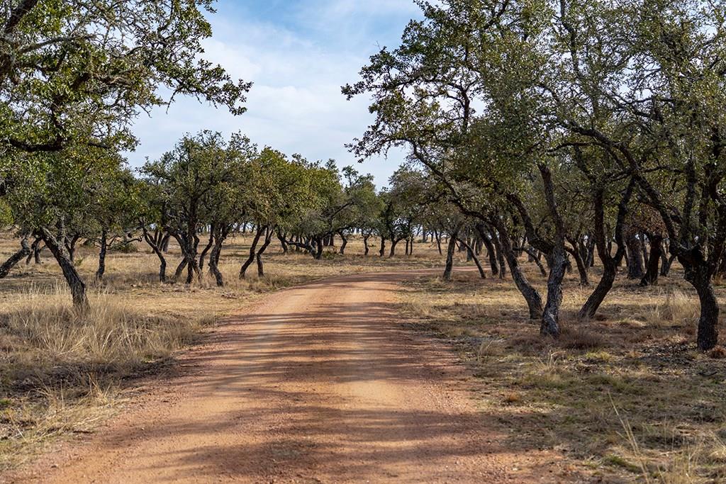 20400 FM 2093 — photo