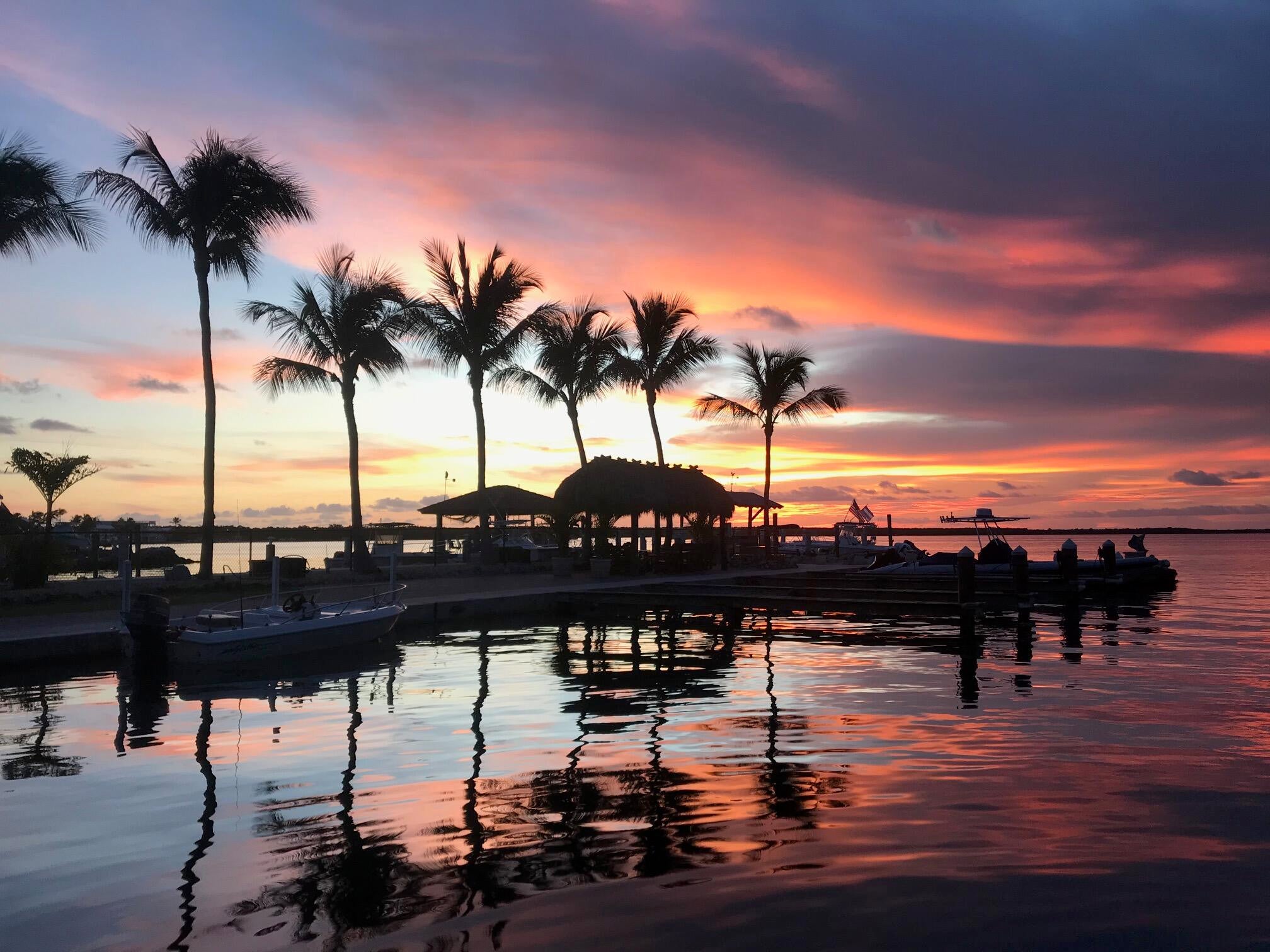 101620 Overseas Highway # 5S — photo