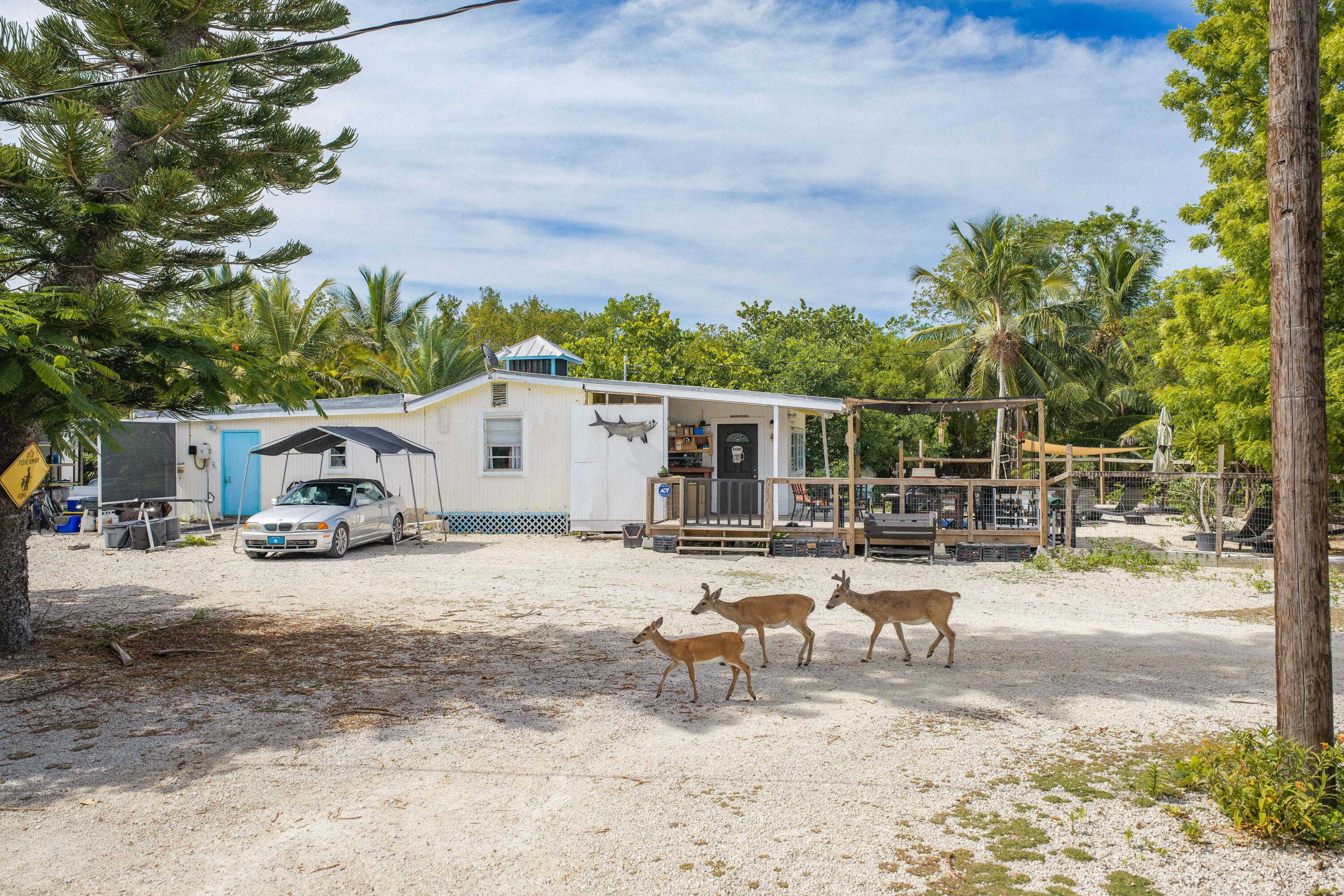 2231 Middle Torch Road, Middle Torch Key, FL 33042 — photo 2