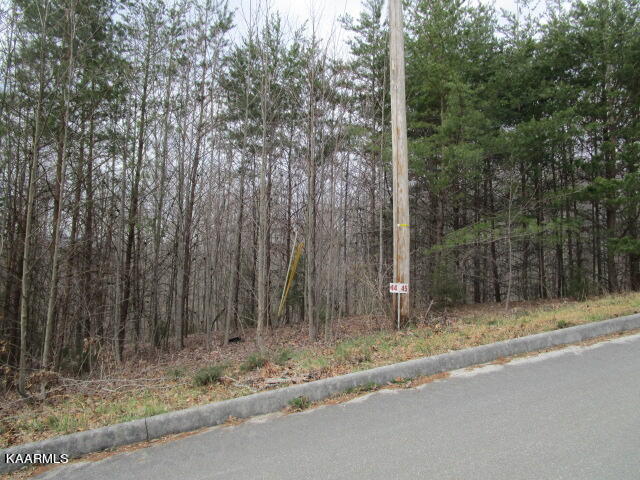 Deerridge Drive, Rutledge, TN 37861 — photo 2