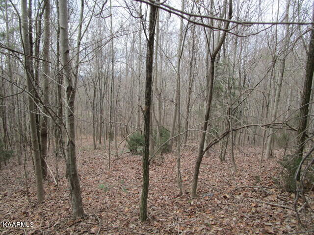 Deerridge Drive, Rutledge, TN 37861 — photo 3