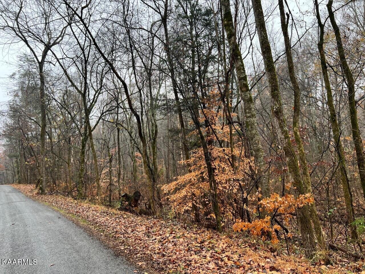 Lot 6 Butler Rd, Decatur, TN 37322 — photo 2