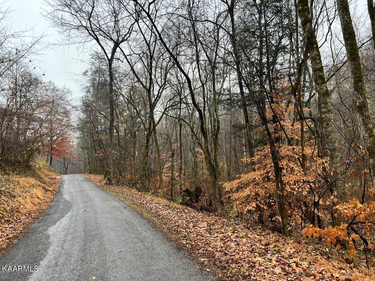 Lot 7 Butler Rd, Decatur, TN 37322 — photo 3
