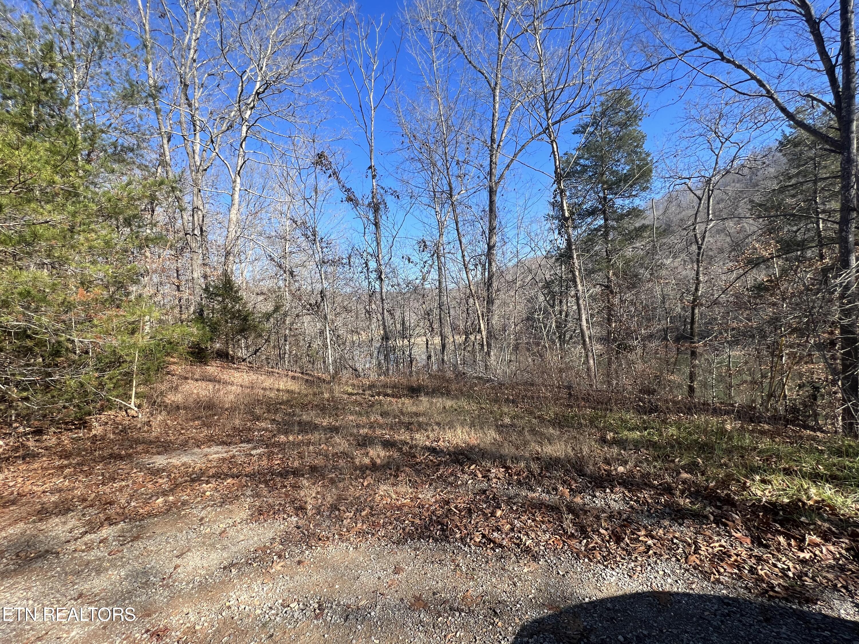 4 lots Jones Ridge Rd, Speedwell, TN 37870 — photo 2