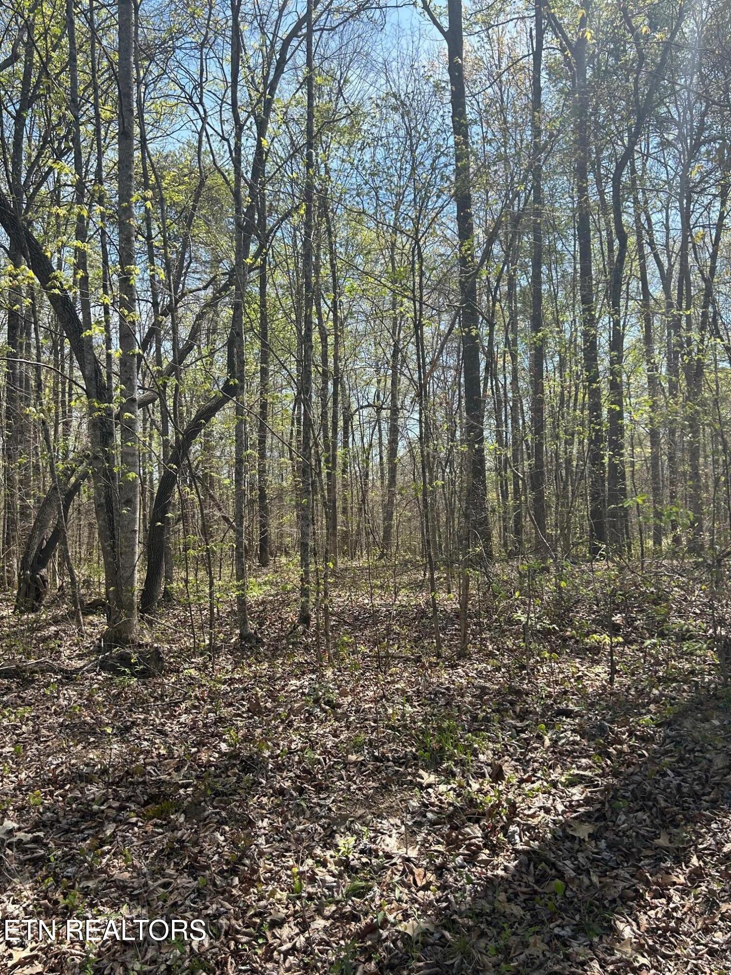 lot 9 Jones Ridge Rd, Speedwell, TN 37870