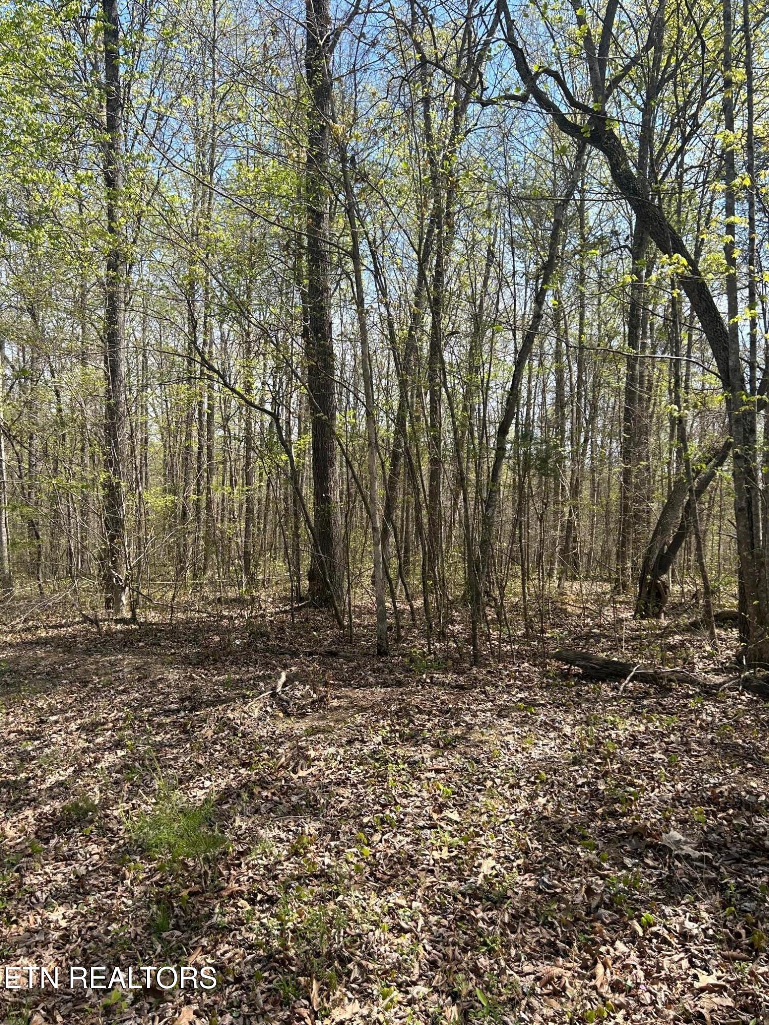 lot 9 Jones Ridge Rd, Speedwell, TN 37870 — photo 2