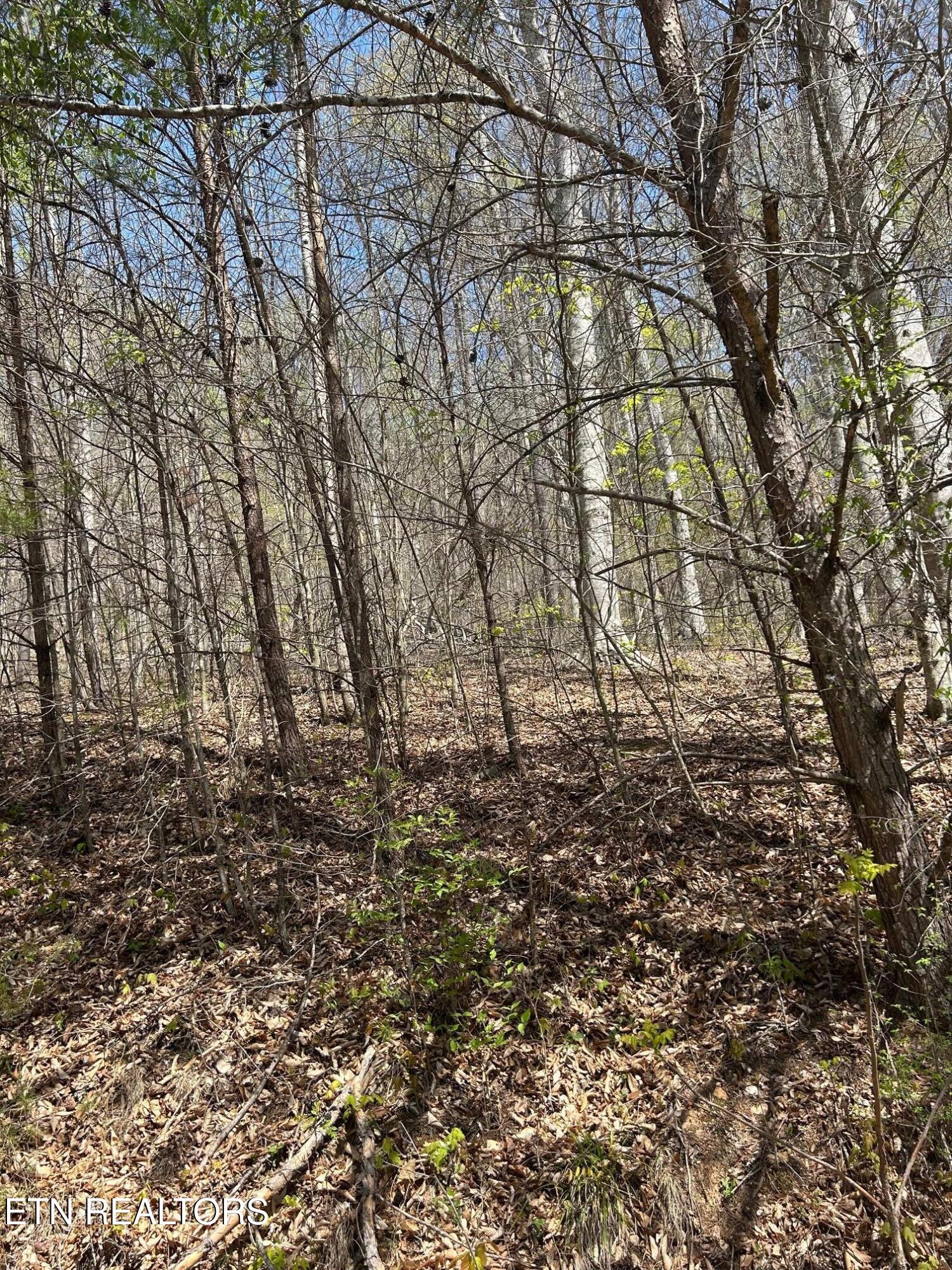 lot 3 Jones Ridge Rd, Speedwell, TN 37870