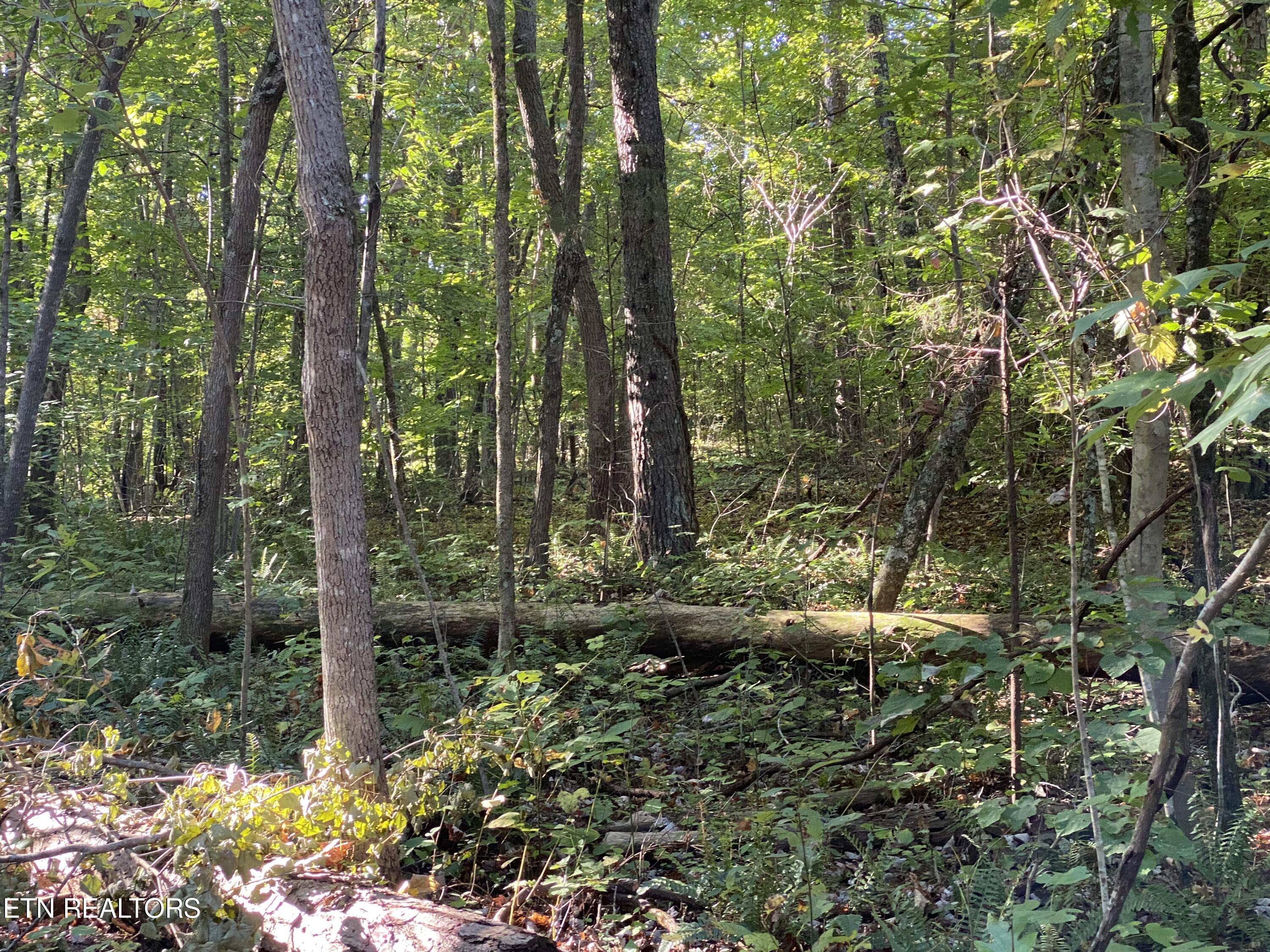 0 Conner Rd, Powell, TN 37849 — photo 2