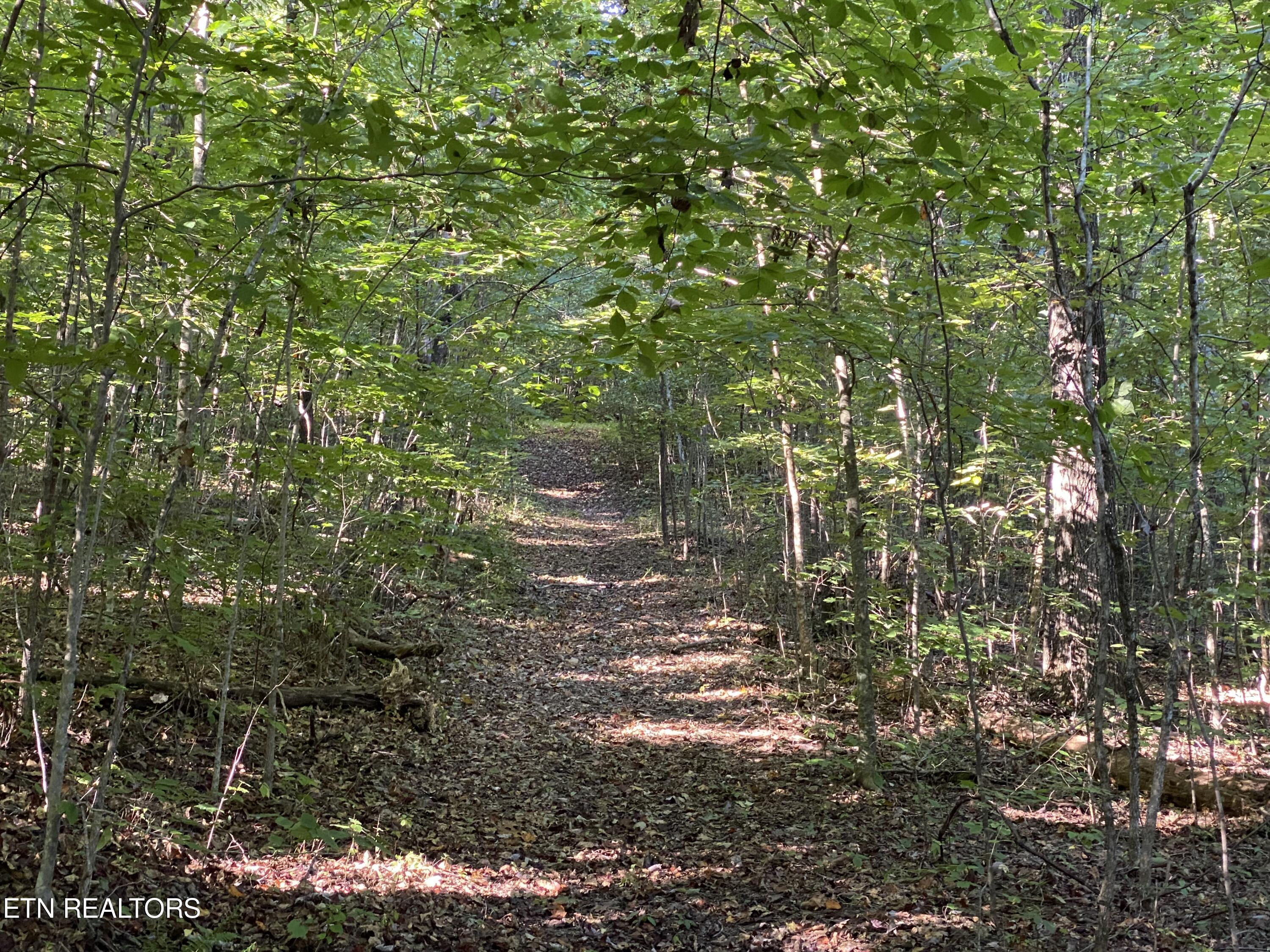 0 Conner Rd, Powell, TN 37849 — photo 3