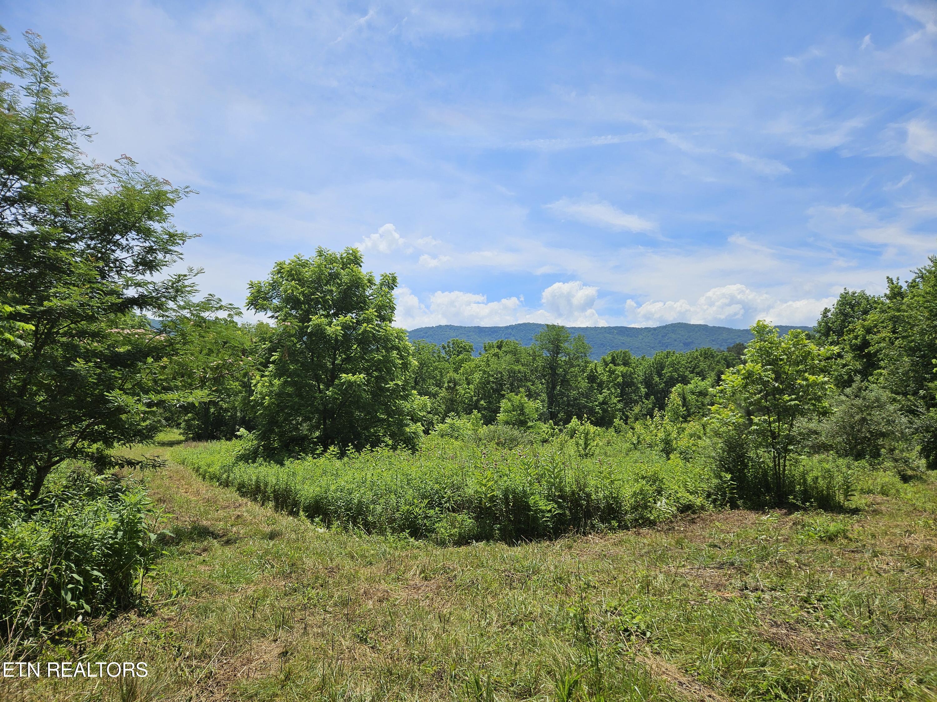 Six Mile Rd, Maryville, TN 37803