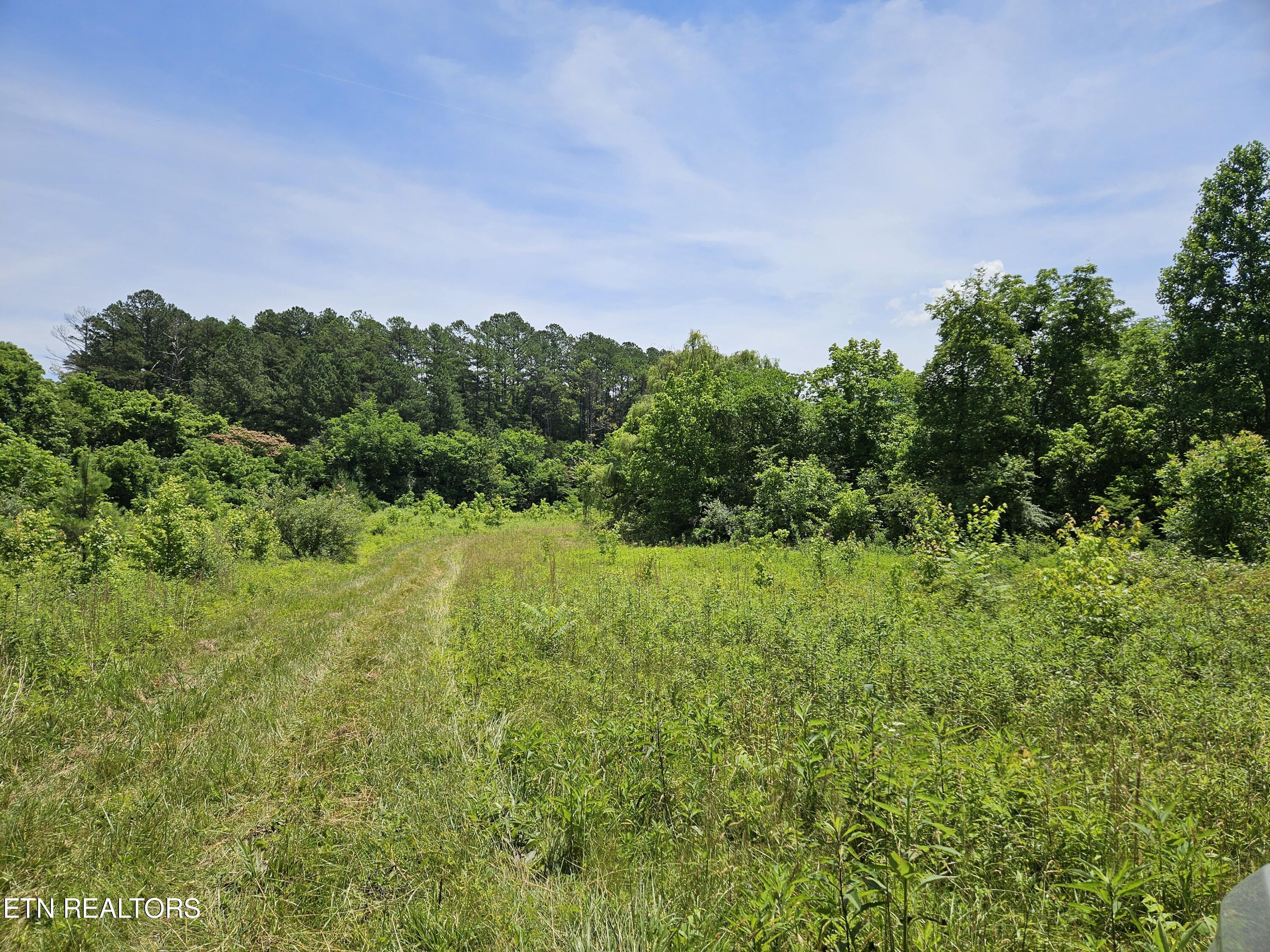 Six Mile Rd, Maryville, TN 37803 — photo 2