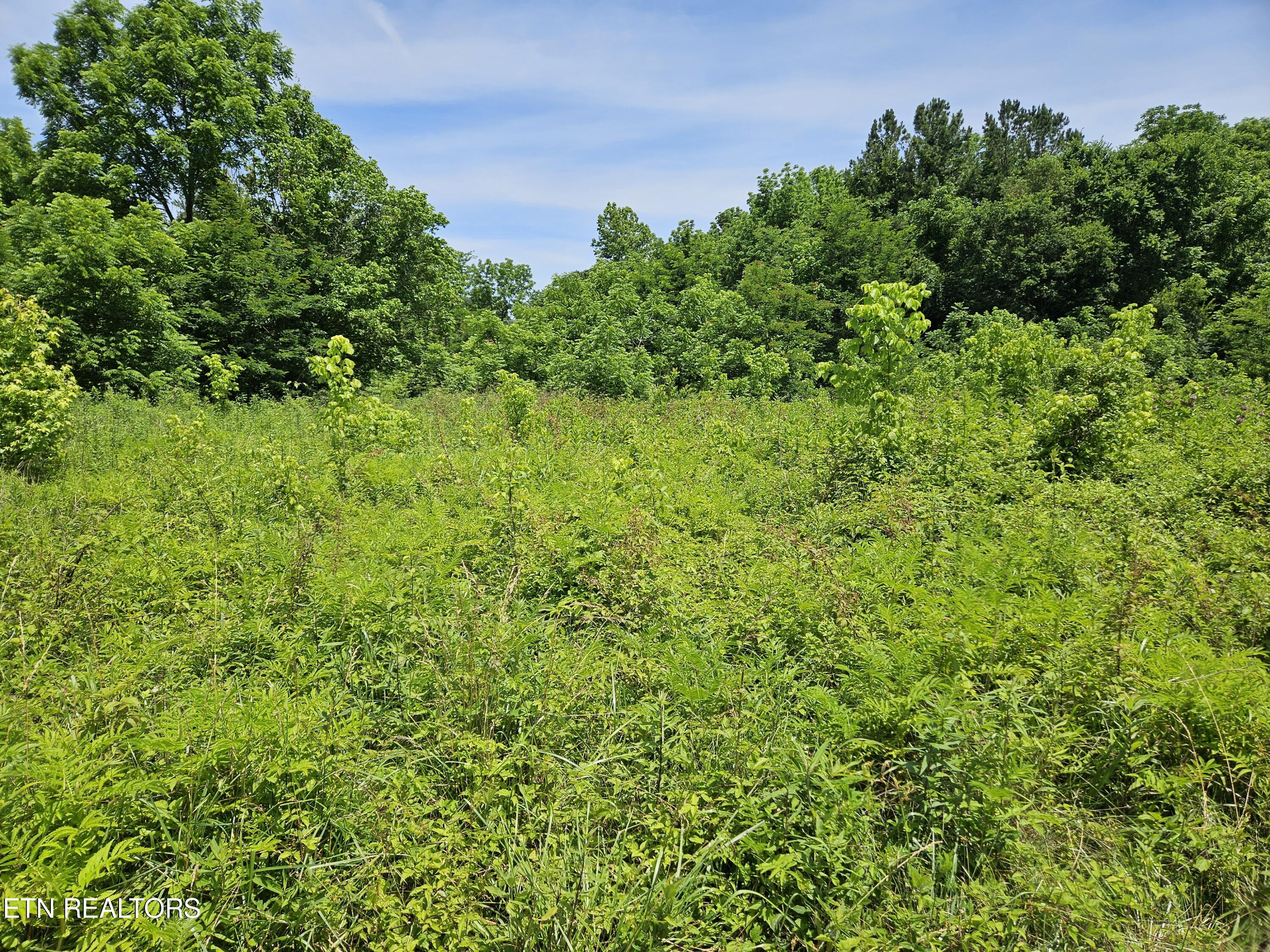 Six Mile Rd, Maryville, TN 37803 — photo 3