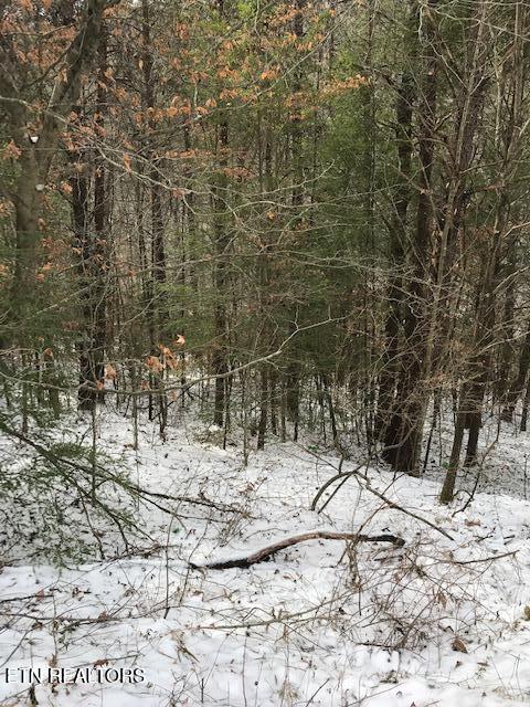 080 013.00 Buffalo Rd, Oneida, TN 37841 — photo 2