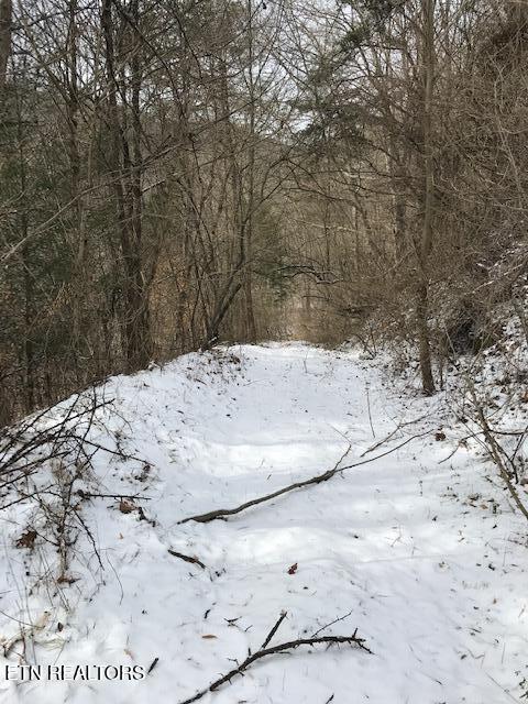 080 013.00 Buffalo Rd, Oneida, TN 37841 — photo 3