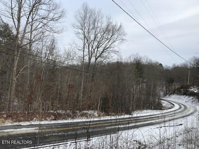 080 015.00 Buffalo Rd, Oneida, TN 37841 — photo 2