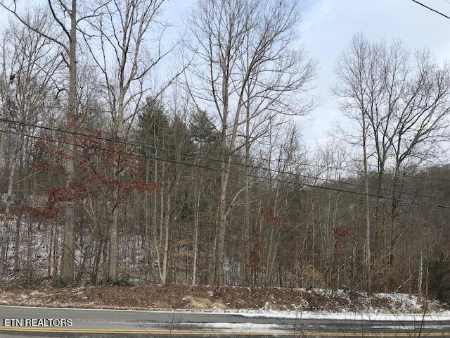 080 015.00 Buffalo Rd, Oneida, TN 37841 — photo 3