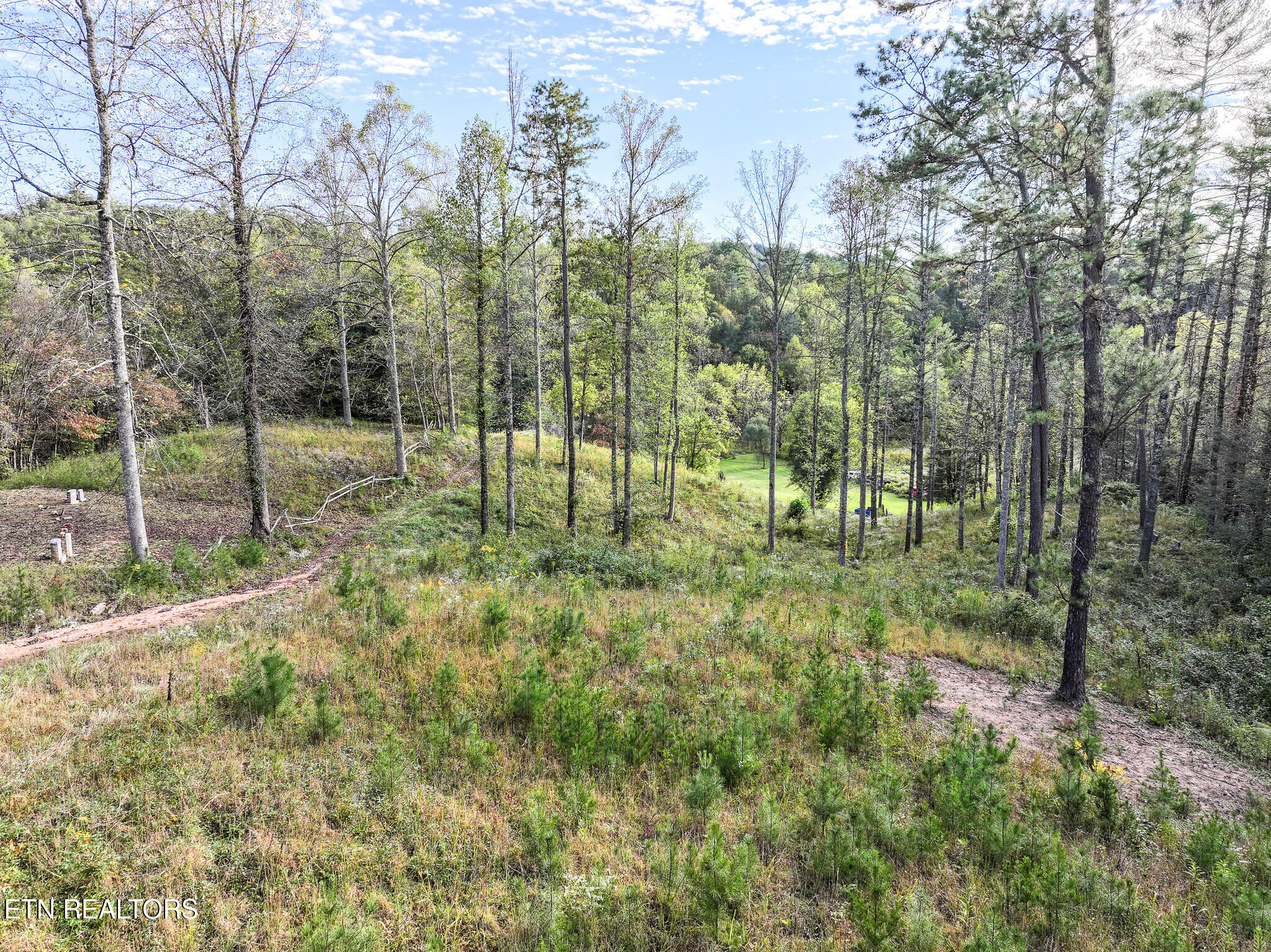 Long Branch Rd Off Rd, Del Rio, TN 37727