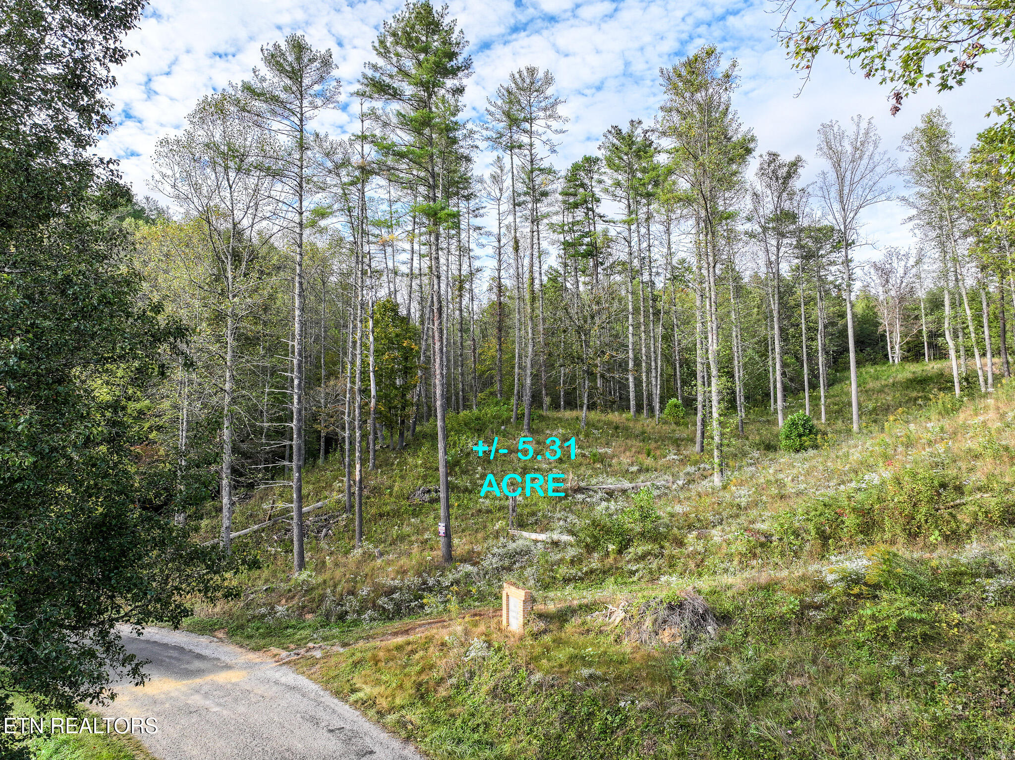 Long Branch Rd Off Rd, Del Rio, TN 37727 — photo 2