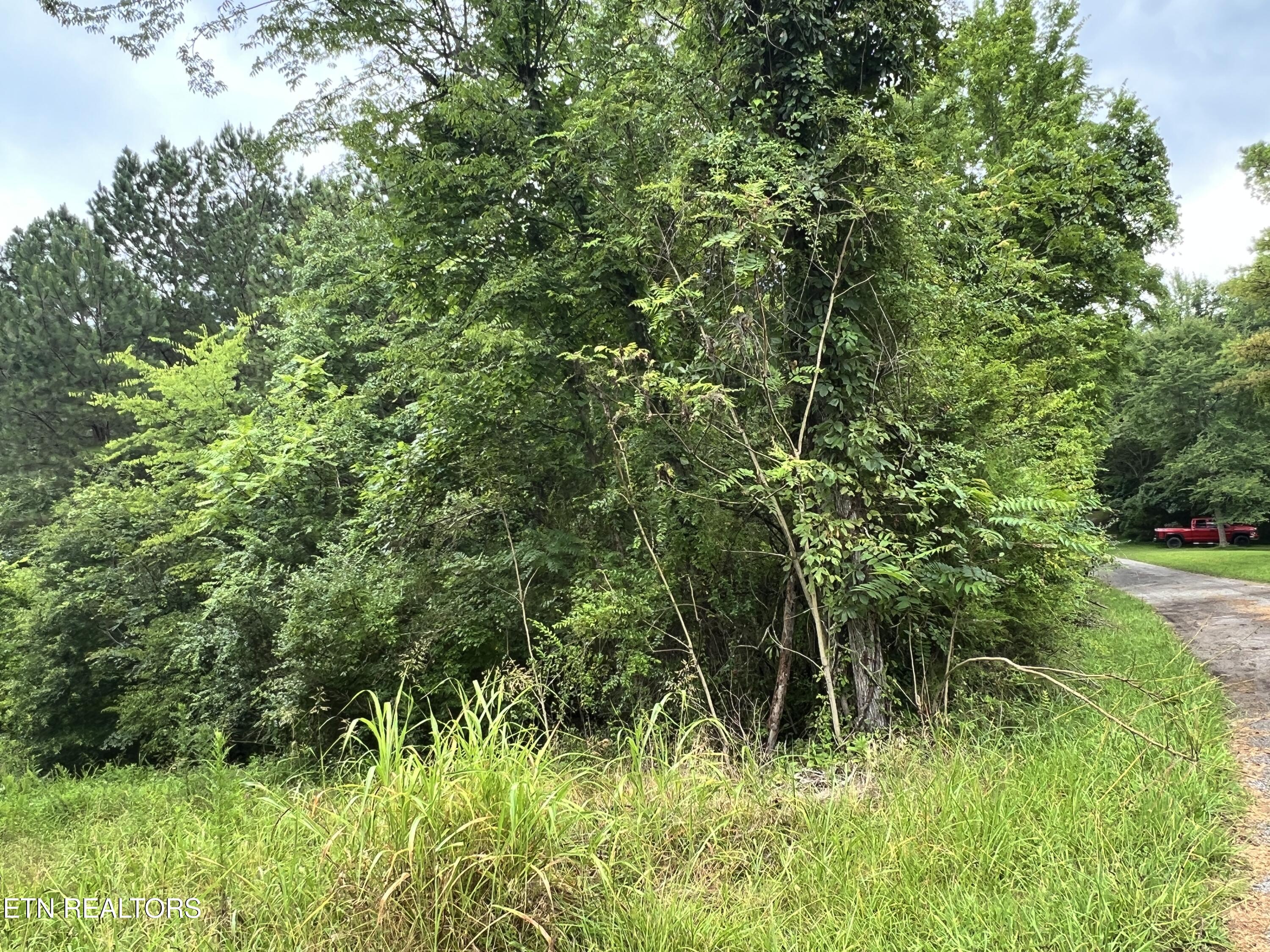 Lot 2 Prigmore Ridge Rd, Decatur, TN 37322
