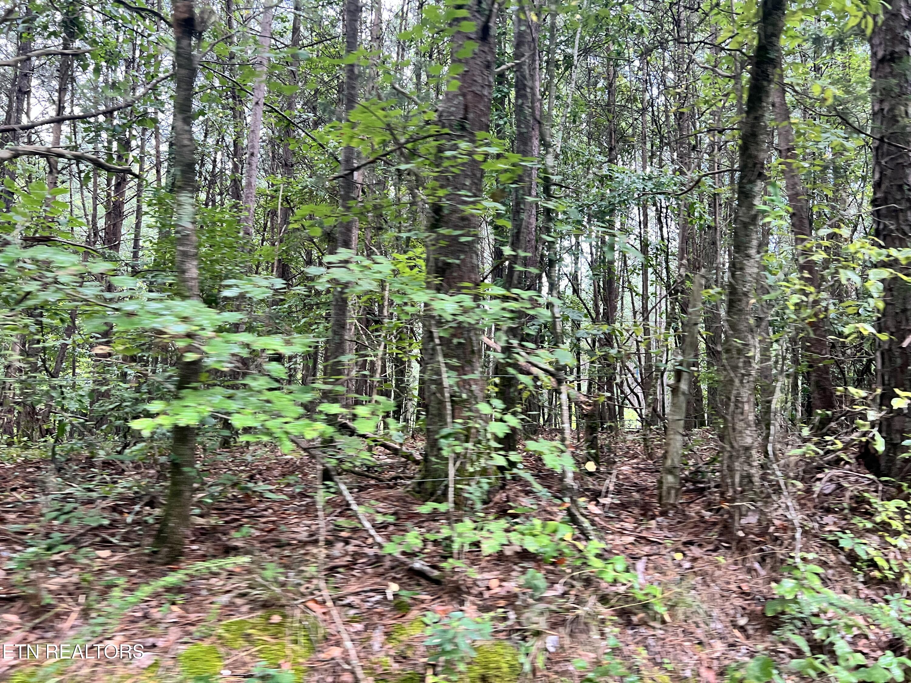 Lot 2 Prigmore Ridge Rd, Decatur, TN 37322 — photo 3