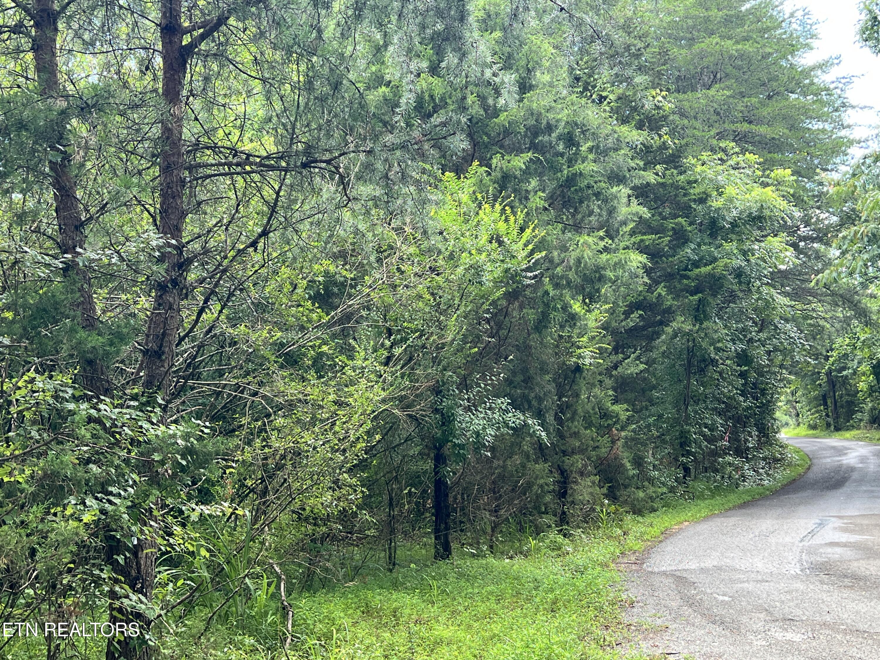 Lot 3 Prigmore Ridge Rd, Decatur, TN 37322 — photo 3