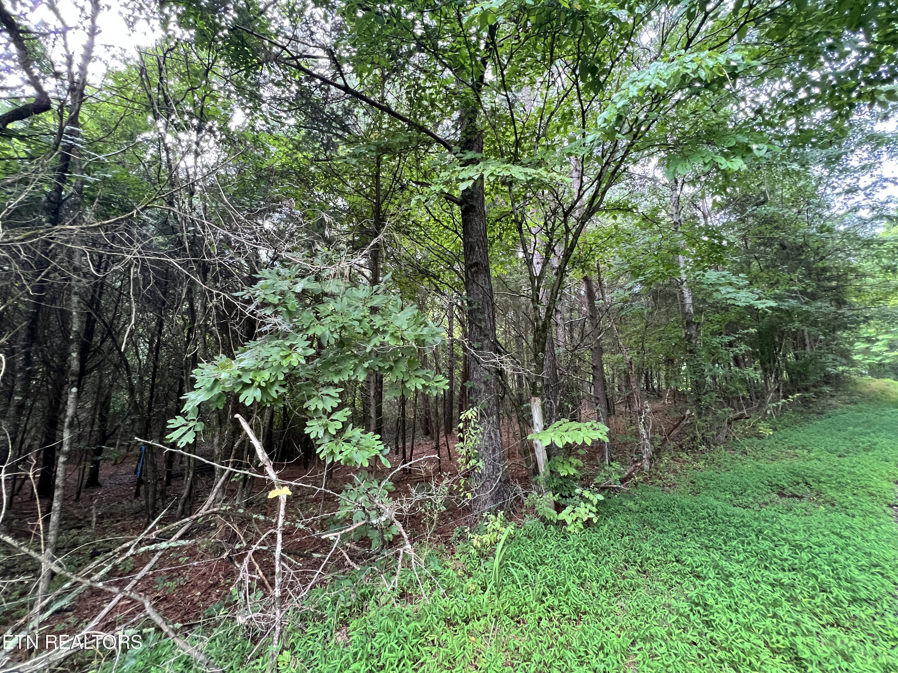 Lot 1 Prigmore Ridge Rd, Decatur, TN 37322 — photo 2
